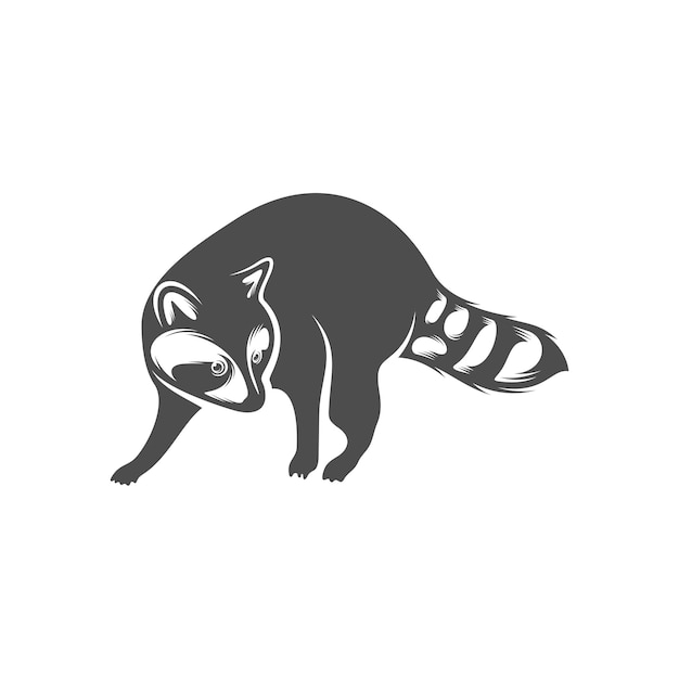 Waschbär-logo-design-vektor symbol symbol vorlage illustration