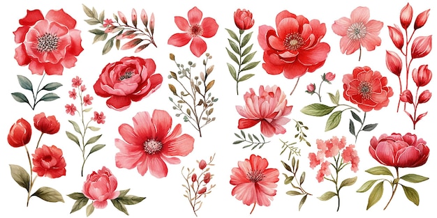 Vektor wasserfarbe rotes blumen-clipart