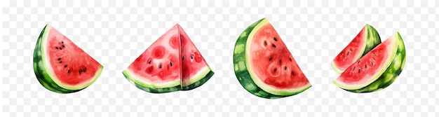 Wassermelone aquarell isolierte grafische durchsichtige