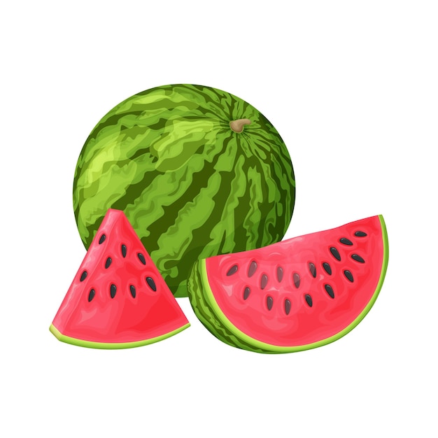 Wassermelone Bild einer reifen Wassermelone Schneiden Sie Stücke der reifen roten Wassermelone Vektorillustration lokalisiert auf einem weißen Hintergrund