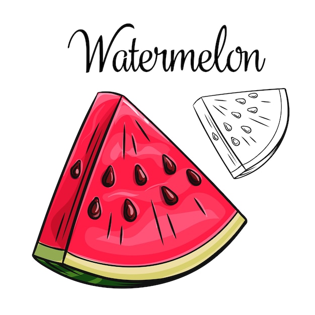 Wassermelonen-zeichnungsikone