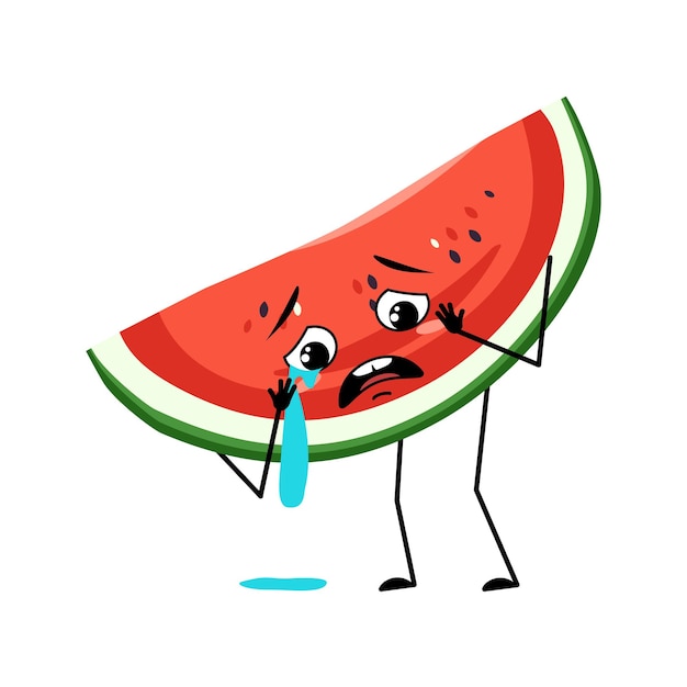 Wassermelonenfigur mit weinen und tränen emotion trauriges gesicht depressive augen person mit melancholischem ausdruck fruchtemoticon flache vektorgrafik