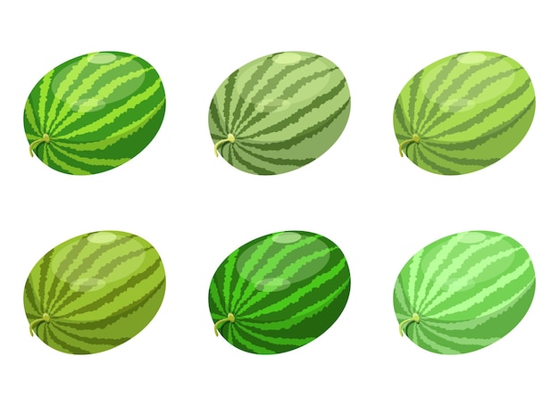 Wassermelonenfruchtvektor-designillustration lokalisiert auf weißem hintergrund