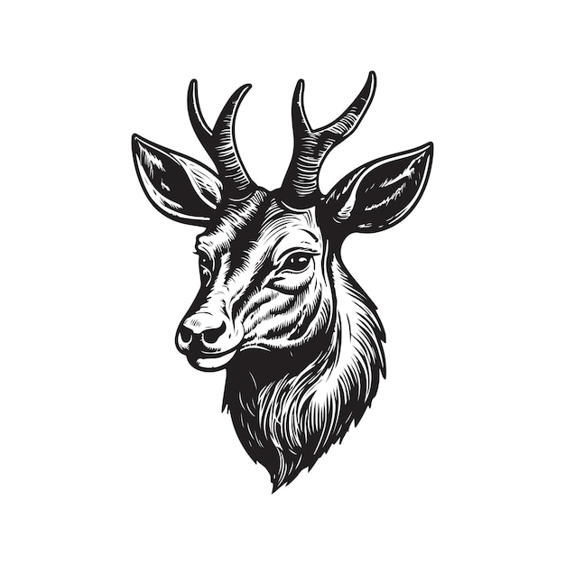 Waterbuck Vintage-Logo-Line-Art-Konzept schwarz-weiß handgezeichnete Illustration