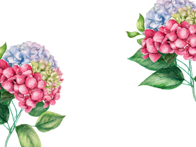 Watercolo-blumenhintergrund mit hortensienblumen