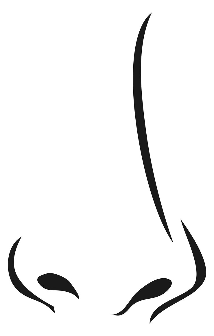 Vektor weibliche nasenzeichnung nasensymbol orgel atmen