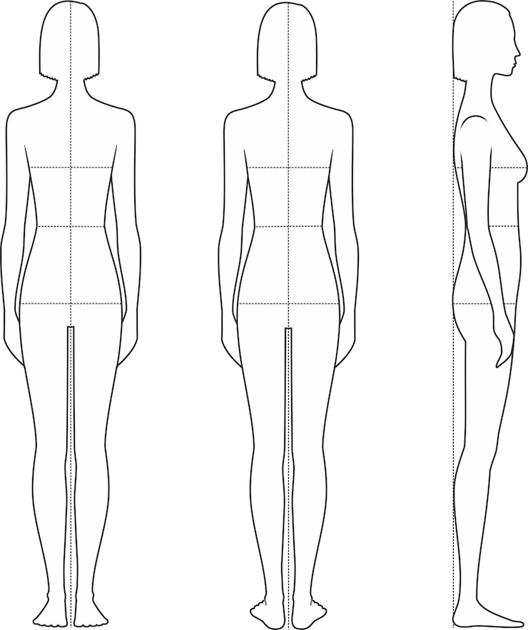 Vektor weibliche silhouette mit proportionen frauenfigur vorderseite rückseite vektorillustration