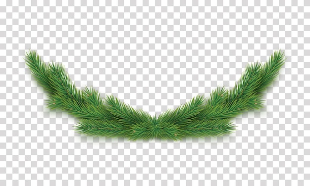 Weihnachtsdekoration mit isolierten Tannenzweigen auf transparentem Hintergrund Frohes Weihnachten und frohes Neujahr Designelement Realistische 3D-Komposition aus immergrünen Zweigen Vektorillustration