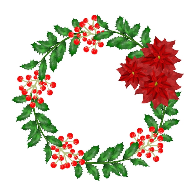 Weihnachtskranz bunter poinsettia-blumenvektor-illustrationsrahmen mit stechpalmenblatt-roter beere