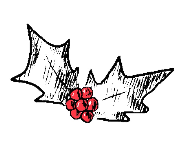 Vektor weihnachtsstechpalmenbeere in schwarz-weißer farbskizze