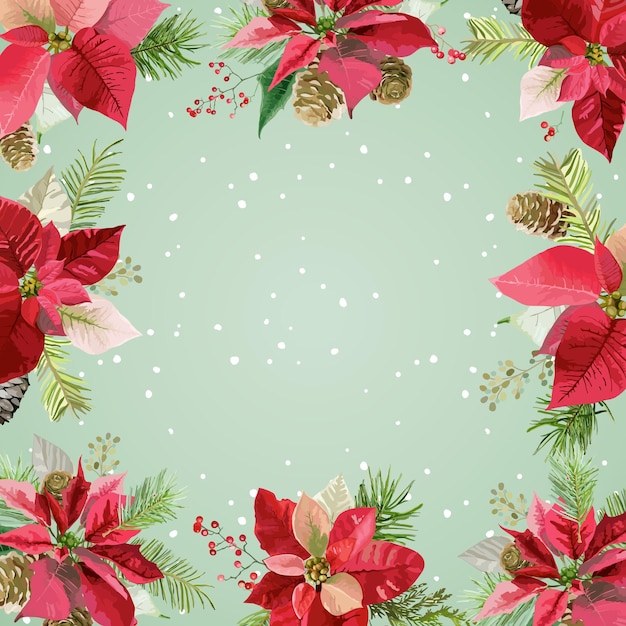 Weihnachtswinter weihnachtsstern blüht hintergrund, karte oder banner mit platz für ihren text