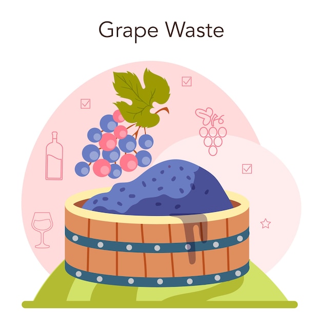 Weinproduktion. traubenauswahl und verarbeitung. traubenbeeren