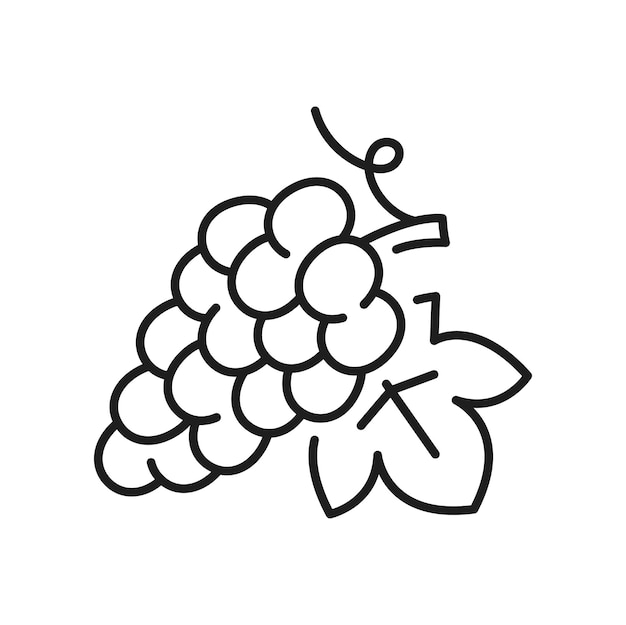 Weintraube auf stiel isoliert beerenblatt-symbol