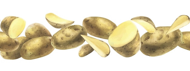 Weiße Kartoffeln ganz halb geschnitten geschält und Keile Aquarell handgezeichnete Illustration auf dem Thema