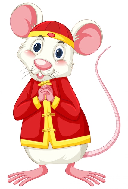 Weiße Ratte, die chinesisches Kostüm trägt