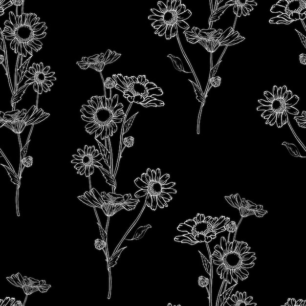 Weißer Umriss Blume Kamillen auf schwarzem Hintergrund Nahtloses Blumenmuster Hand gezeichnet