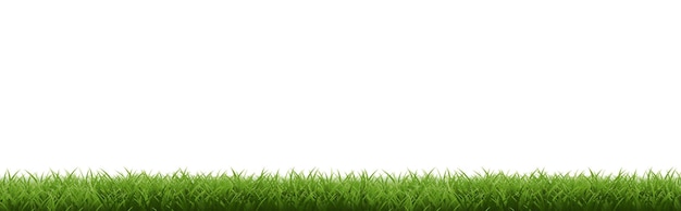 Weißes Grasland mit weißem Hintergrund