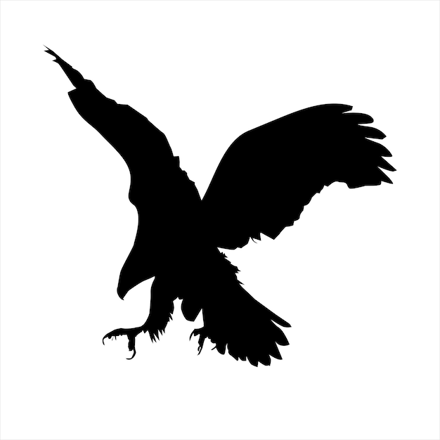 Vektor weißkopfseeadler im flug in silhouette stock illustration