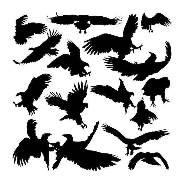Weißschwanzadlertier-silhouetten