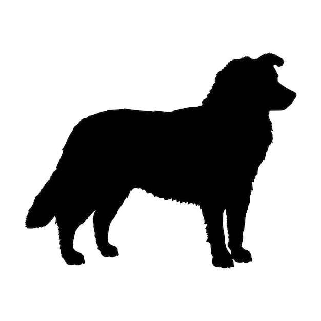 Vektor welischer hund schafhund silhouette hund rassen logo hund monogram vektor