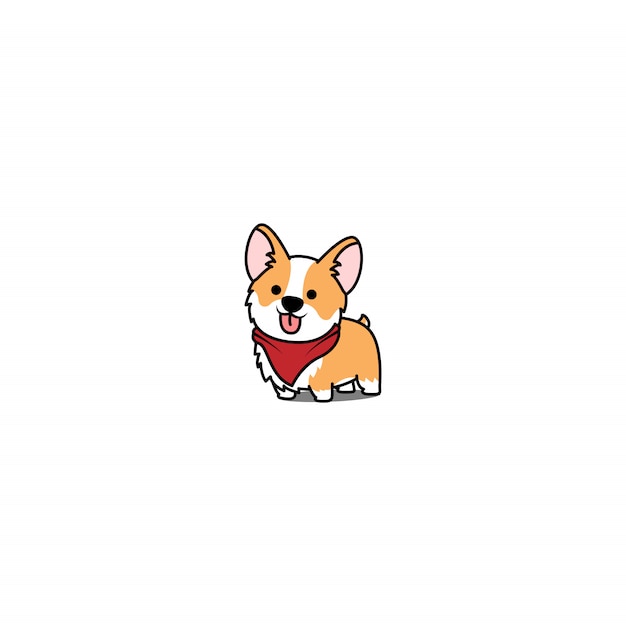 Welsh corgi welpe lächelnd