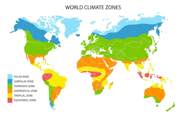 Vektor weltklimazonen kartieren vektorgeografische infografiken