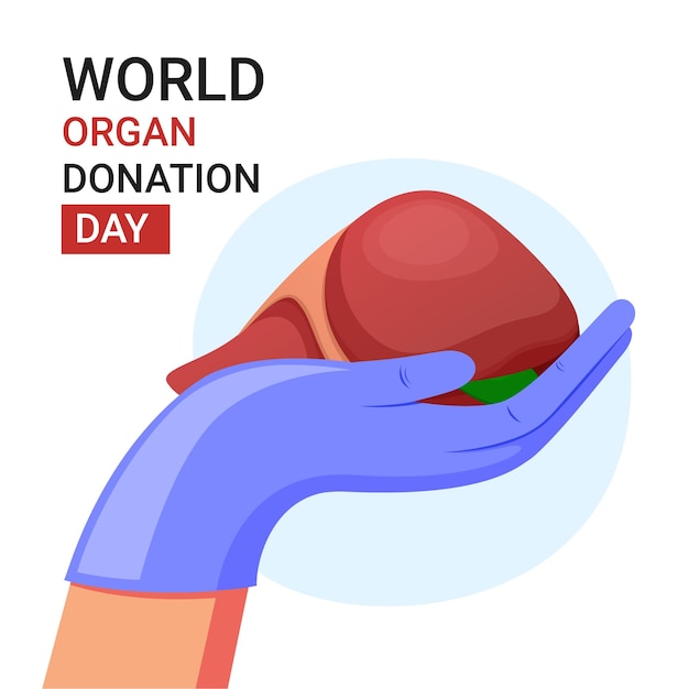 Vektor weltorganspendetag, medizinische hand- und leberillustration