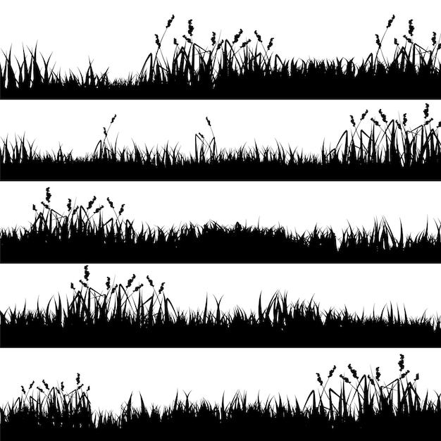 Vektor wiese-silhouetten mit graspflanzen auf einer ebene panoramabild im sommer rasenlandschaft mit verschiedenen kräutern