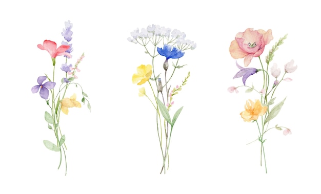 Vektor wildblumen und schmetterlinge aquarell-vektorstrauß isoliert auf weißem hintergrund