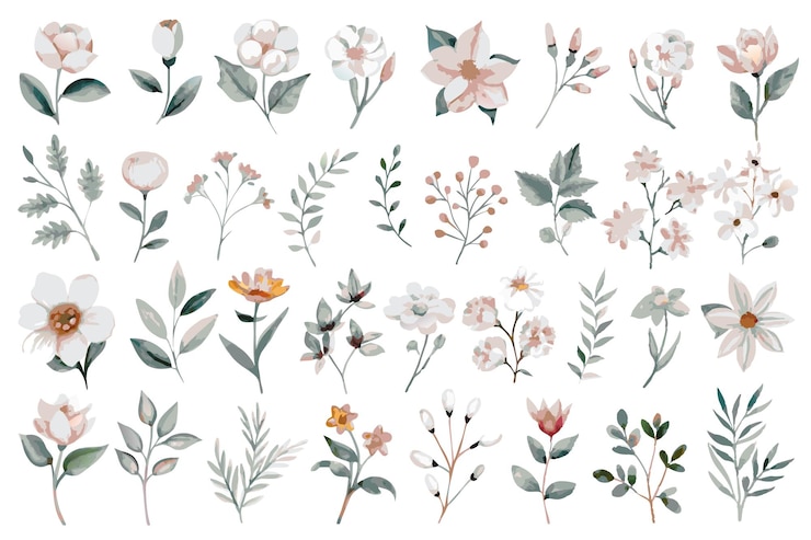 Vektor wildblumige aquarell-elementensammlung