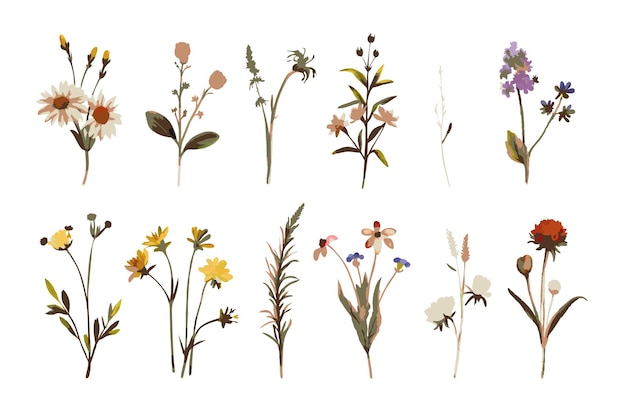 Wildblumige Aquarell-Elementensammlung