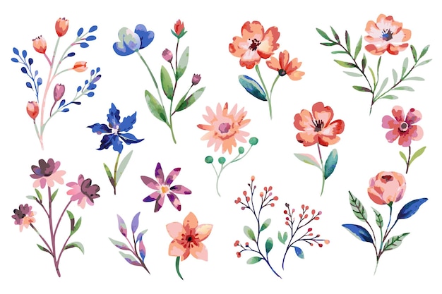 Wildblumige Aquarell-Elementensammlung