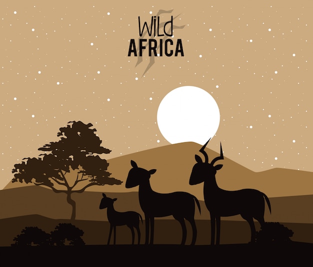 Wilde Afrika Tiere