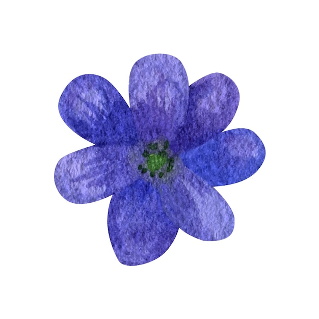 Wilde blaue blumen wald aquarell cliparts