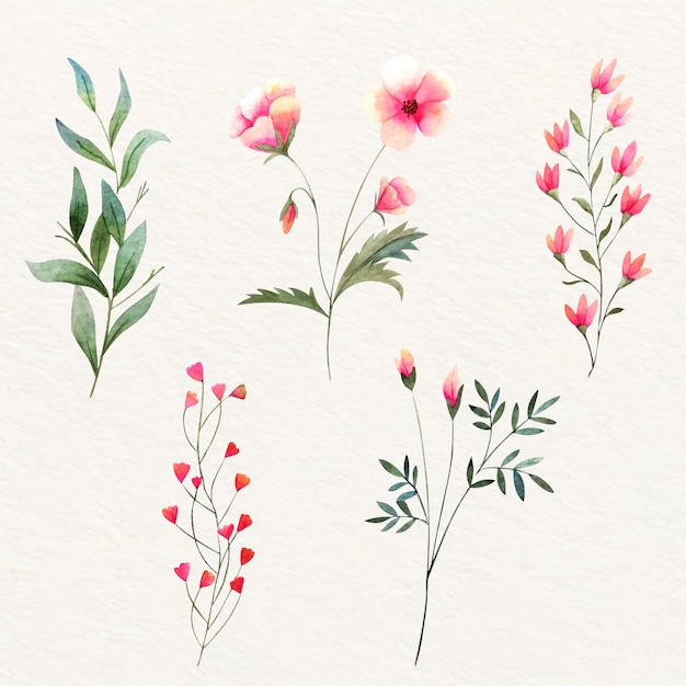 Wilde blumen des bunten aquarells