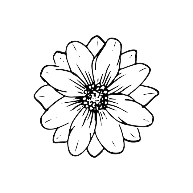 Vektor wilde blumen kritzeln lineart-vektorillustrations-handzeichnung