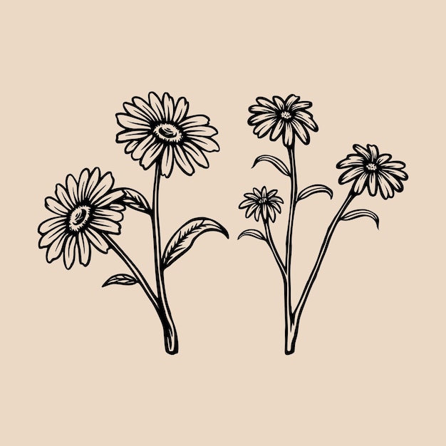 Wilde organische botanische Blume mit handgezeichnetem Retro-Stil