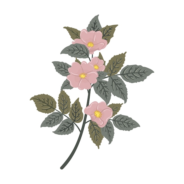 Vektor wilder rosenzweig vektorillustration briar dogrose eglantine im flachen cartoon-stil