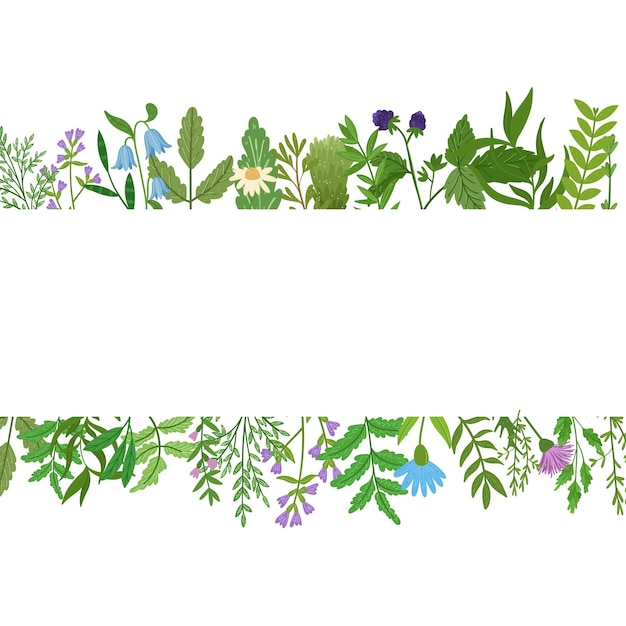 Wildkräuter Banner. Cartoonblätter, Brunchs, Blumen, Zweig isoliert. handgezeichnete Illustration.