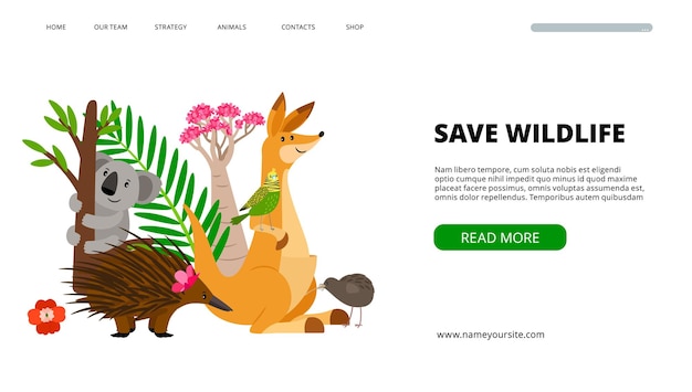 Wildtiere banner. speichern sie tier- und naturillustration. koala, papagei und känguru vektor landingpage vorlage