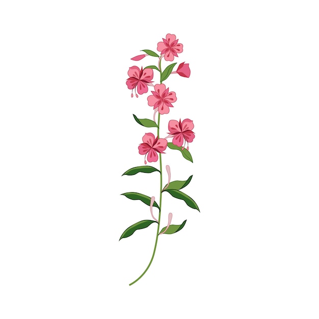 Willowed wilde blume handgezeichnete detaillierte illustration