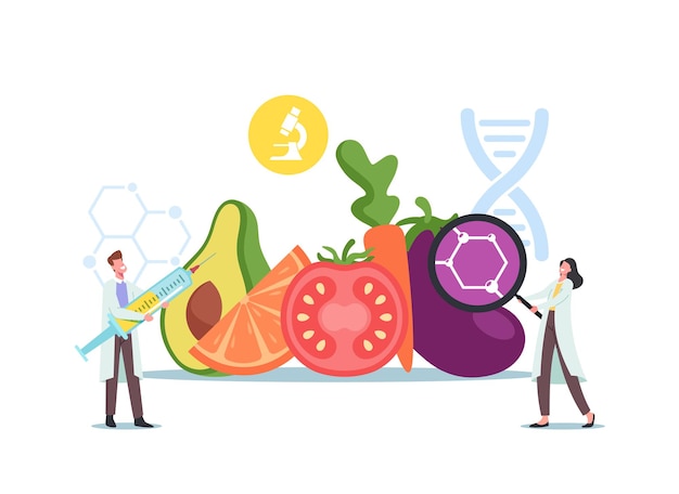 Winzige wissenschaftler männliche und weibliche charaktere bei riesigen genetisch veränderten nahrungsmitteln und landwirtschaftlichen nutzpflanzen lernen gvo-lebensmittel in labor, chemie oder biologie. cartoon-menschen-vektor-illustration