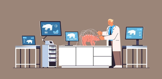 Wissenschaftler oder Tierärzte, die Experimente im Labor mit experimenteller Forschung zur biologischen Gentechnik von Schweinen durchführen