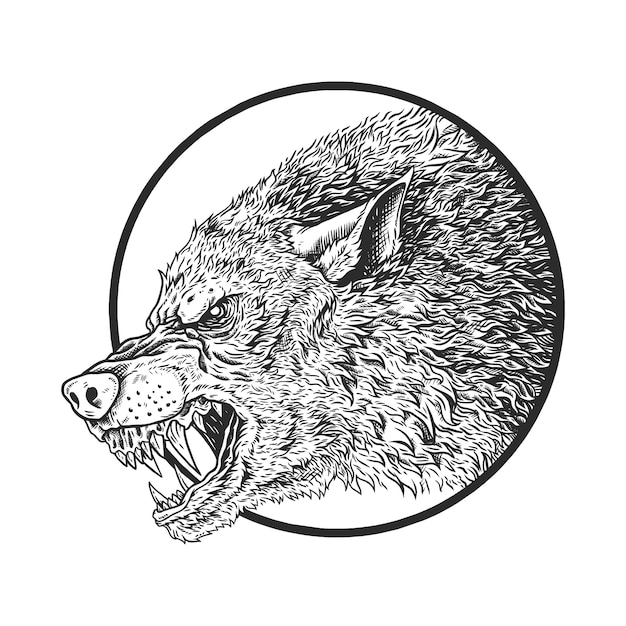 Wolf Kopf Illustration Kunstwerk