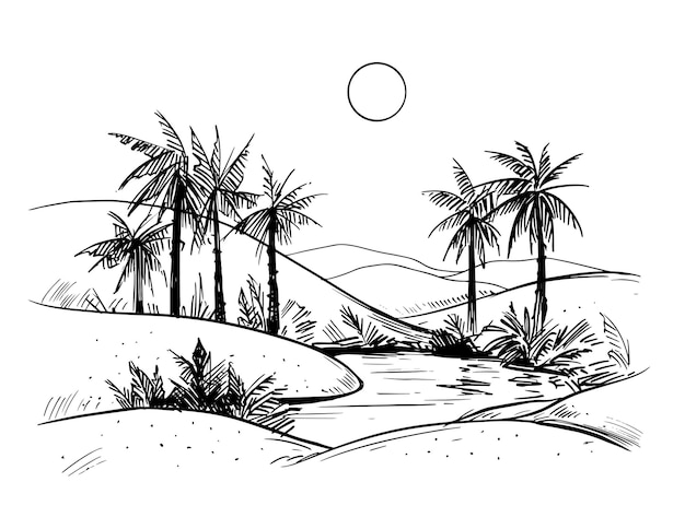 Wüste mit Kakteen und Sonnenuntergang. Vektor-Illustration