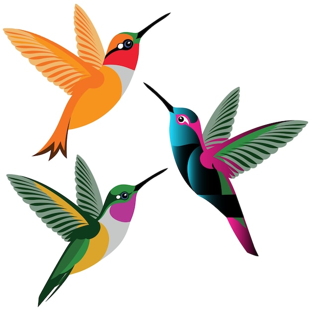 Wunderschöne Spateltail-Kolibris mit dekorativen Illustrationen