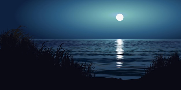 Wunderschöne Strandlandschaft mit Vollmond. Meeresnachtlandschaft