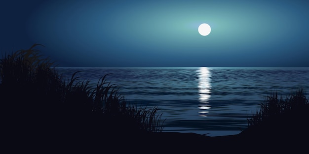 Vektor wunderschöne strandlandschaft mit vollmond. meeresnachtlandschaft