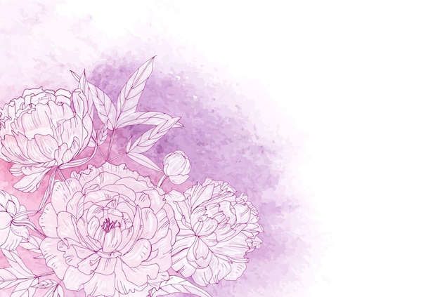 Wunderschöner horizontaler Blumenhintergrund mit blühenden rosa Pfingstrosen in der linken unteren Ecke. Wunderschöne handgezeichnete Blumen gegen Farbfleck im Hintergrund. Natürliche realistische Vektorillustration