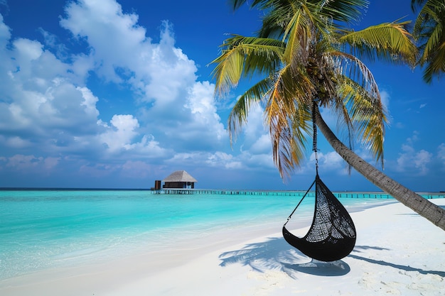 Wunderschöner Sonnenuntergang am Strand mit Palmen VektorillustrationTropischer Strand mit Palmbäumen